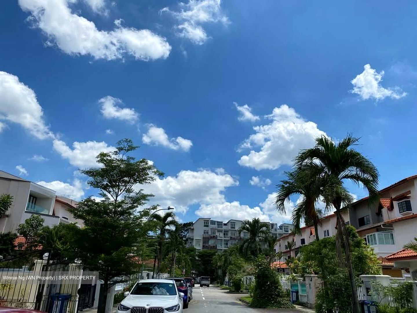 La Quinta Park (D19), Terrace #573944351